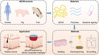 Recent advances in fabrication of dECM-based composite materials for skin tissue engineering